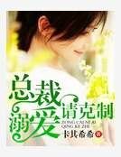 總裁溺愛請剋制