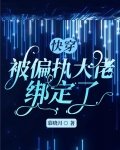快穿：被偏執大佬綁定了